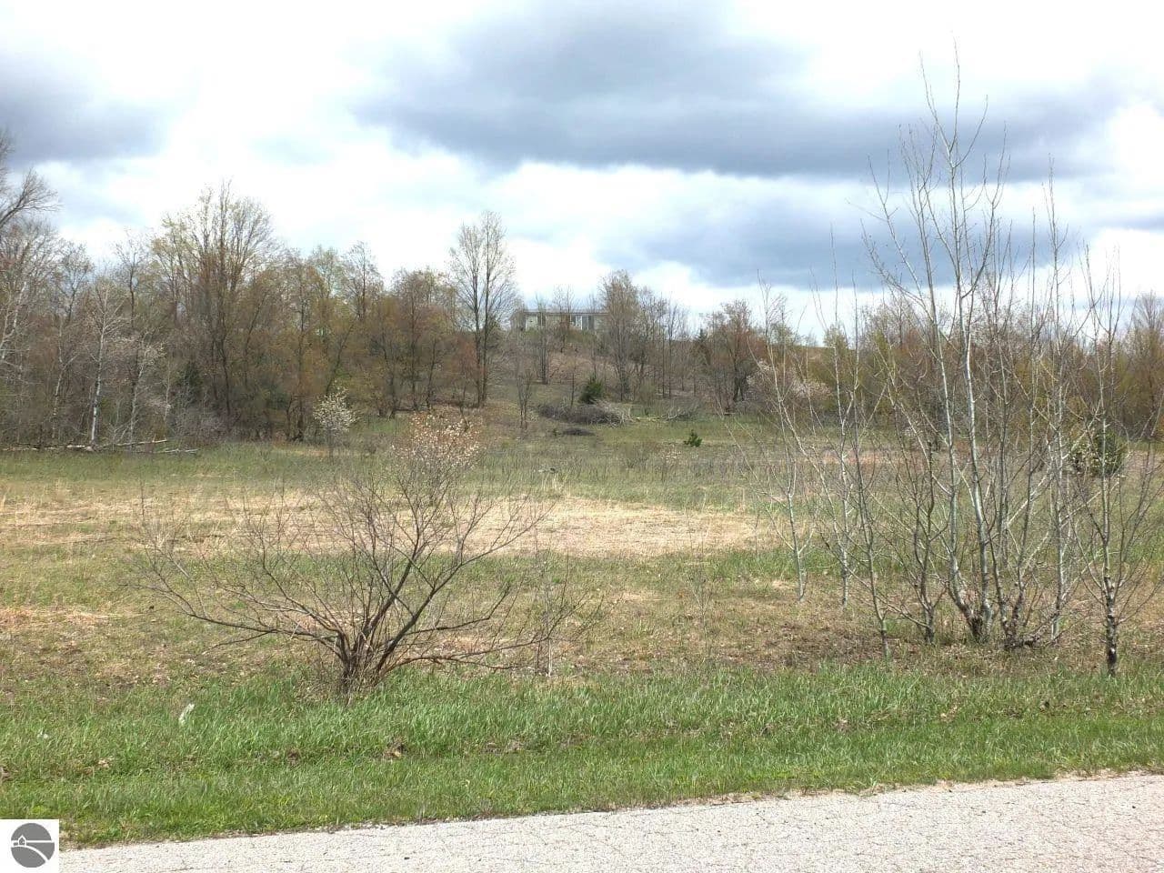 Vacant Land in Kingsley - Kingsley, Michigan, 49649