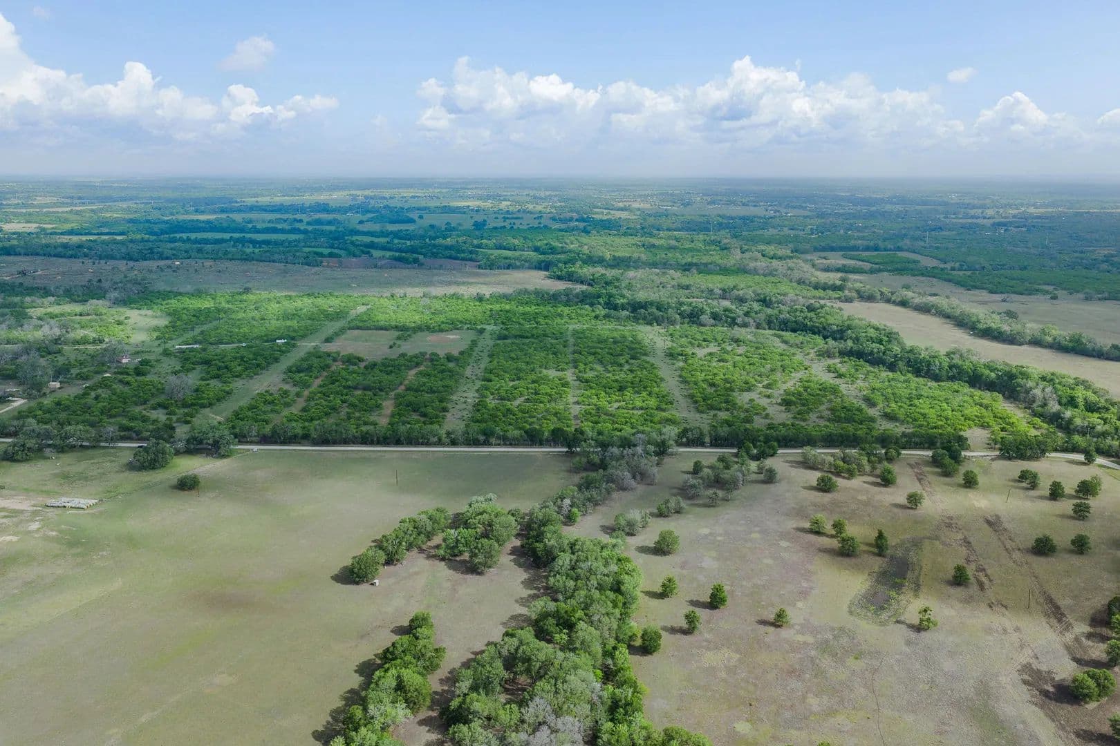 Property from TBD Lot 3 Young Lane - KW - Lockhart, Texas, 78662