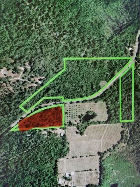 Vacant Land in Deridder - Deridder, Louisiana, 70634