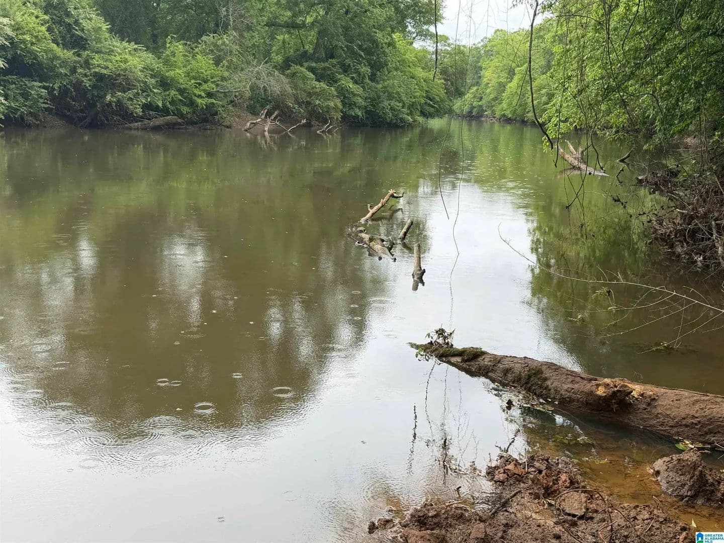 Property from 0 COUNTY ROAD 432 #7 - KW - Woodland, Alabama, 36280