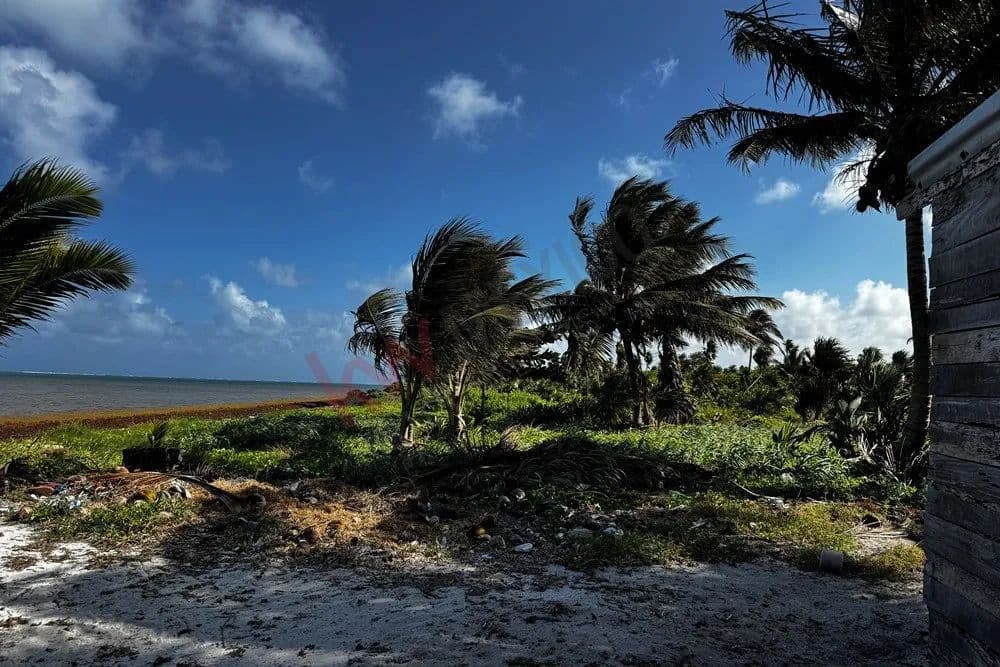 Terreno Residencial En Venta- Frente al Mar - Mahahual - land for sale