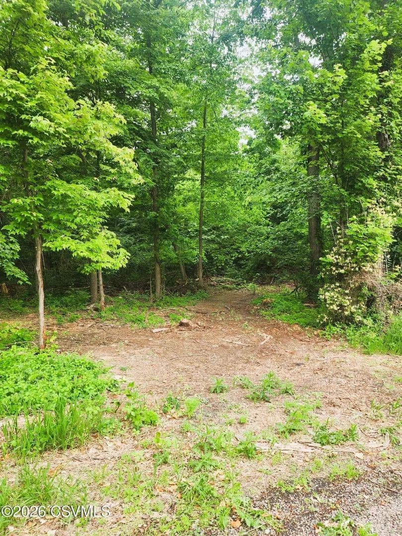 Property from LOT #1 SHAMROCK Road - KW - Paxinos, Pennsylvania, 17860