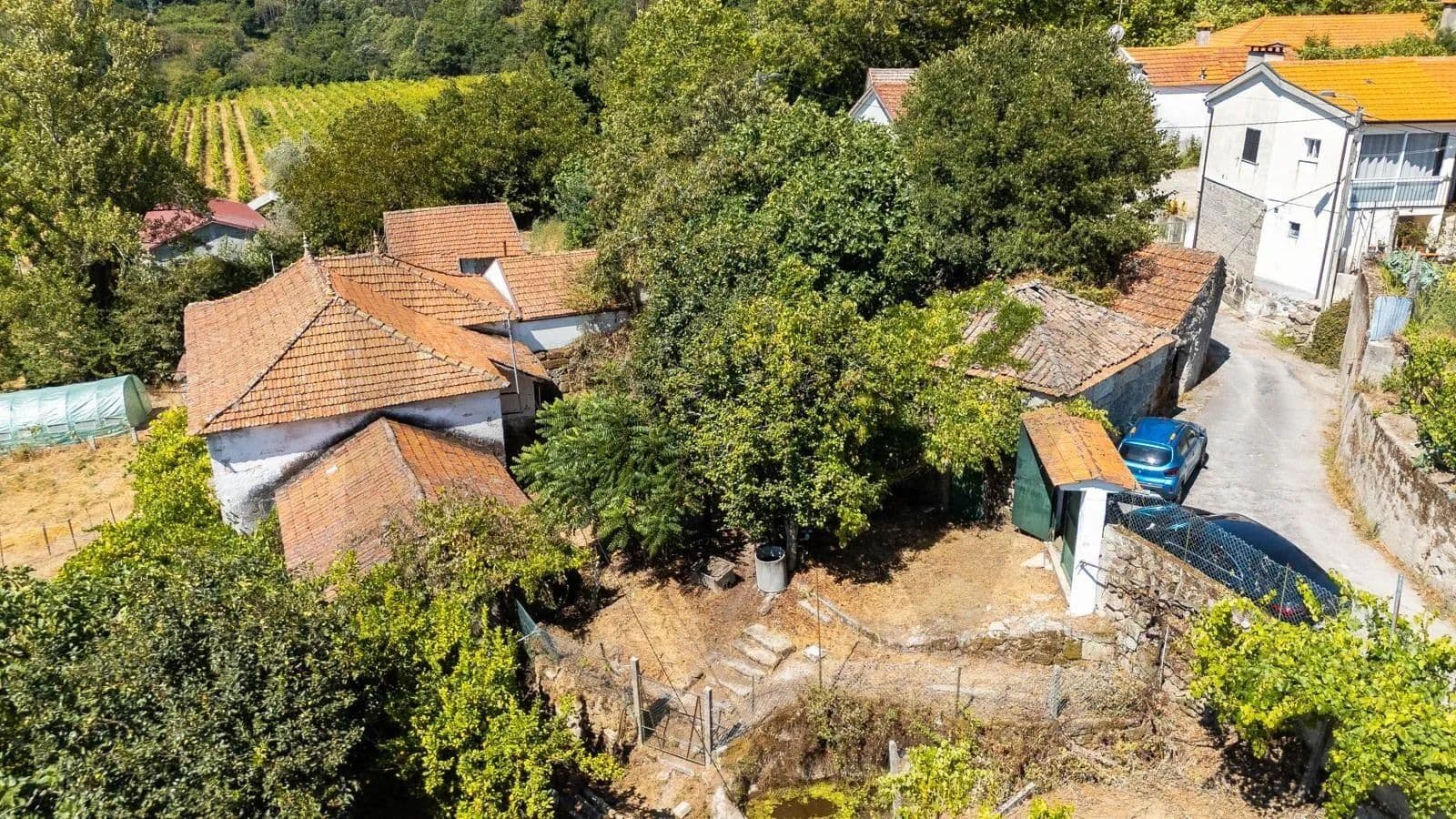 1730.1 Acres of Land for Sale in Campelo e Ovil, Baião - land for sale