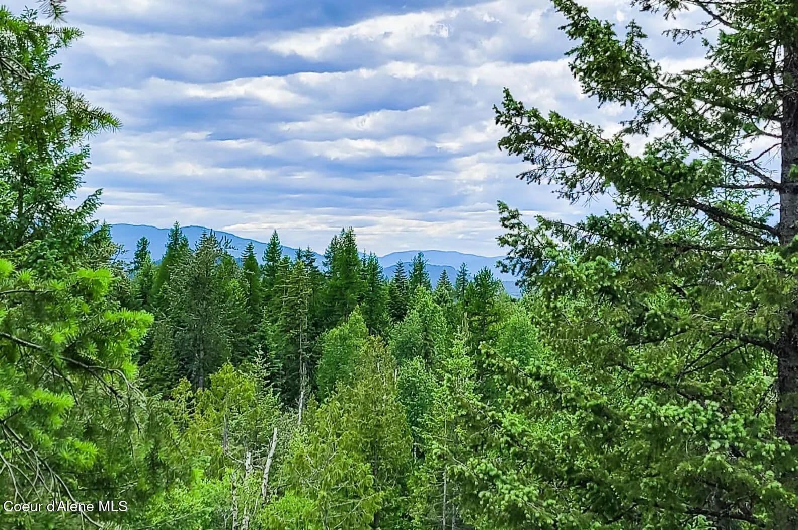 Property from NNA W Gold Creek Ridge Rd - KW - Sandpoint, Idaho, 83864