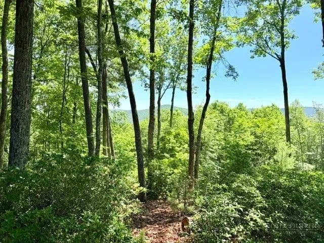 Property from Lot 48 & 49 Davis Acres - KW - West Jefferson, North Carolina, 28694