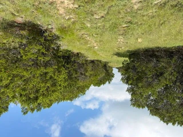 Land -Agricultural (Not Zoned) in Hico - Hico, Texas, 76457