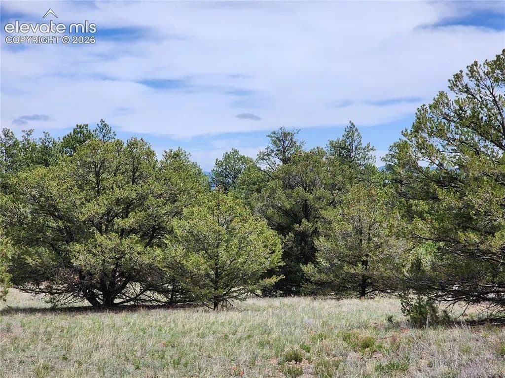 Property from 000 7TH Trail - KW - Cotopaxi, Colorado, 81223