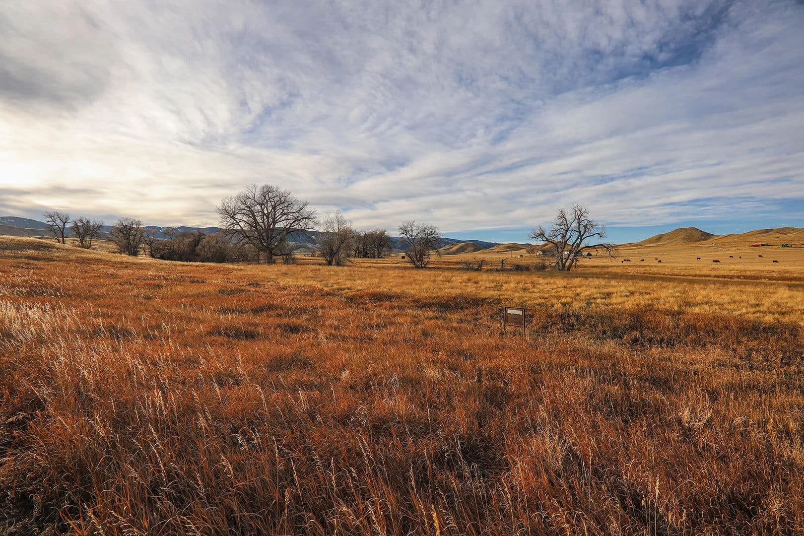 Lots & Land-Other in Buffalo - Buffalo, Wyoming, 82834