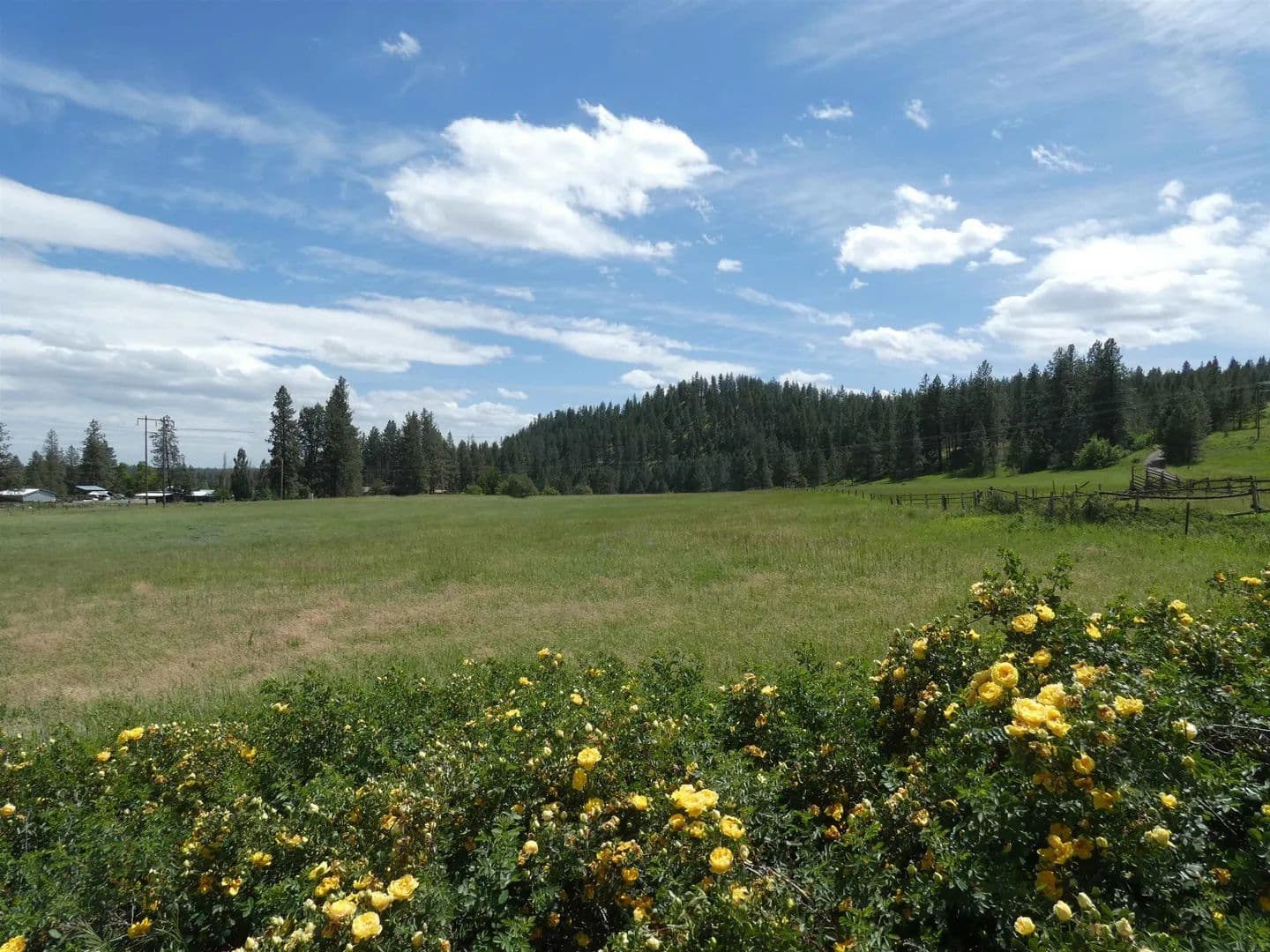6.15 Acres of Land for Sale in Cheney, Washington - Cheney, Washington, 99004
