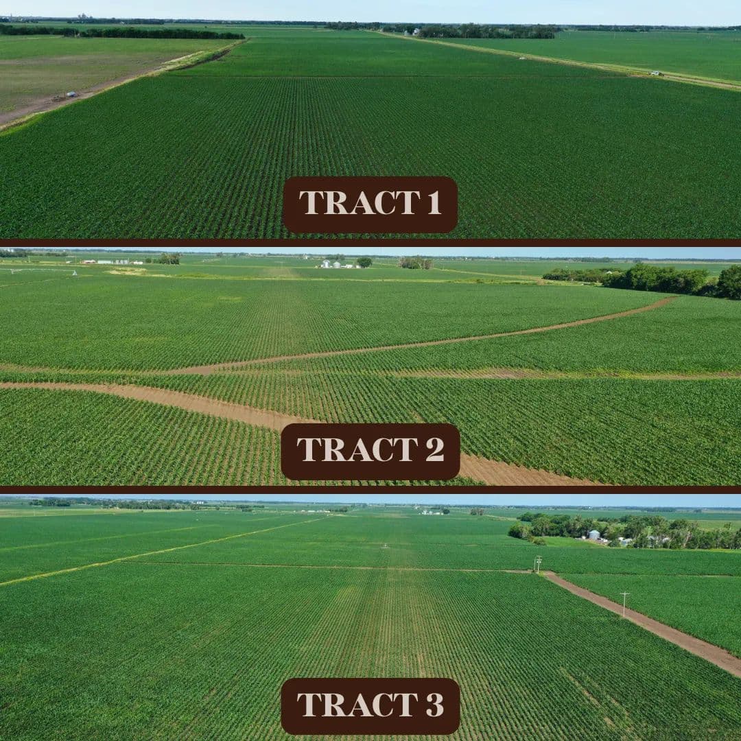 Irrigated Farms for Sale | 153 Acres in 3 Tracts in Merrick County, NE - Clarks, Nebraska, 68628