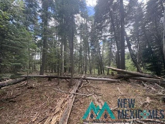 Property from 30 Brazos Lodge Estates - KW - Chama, New Mexico, 87520