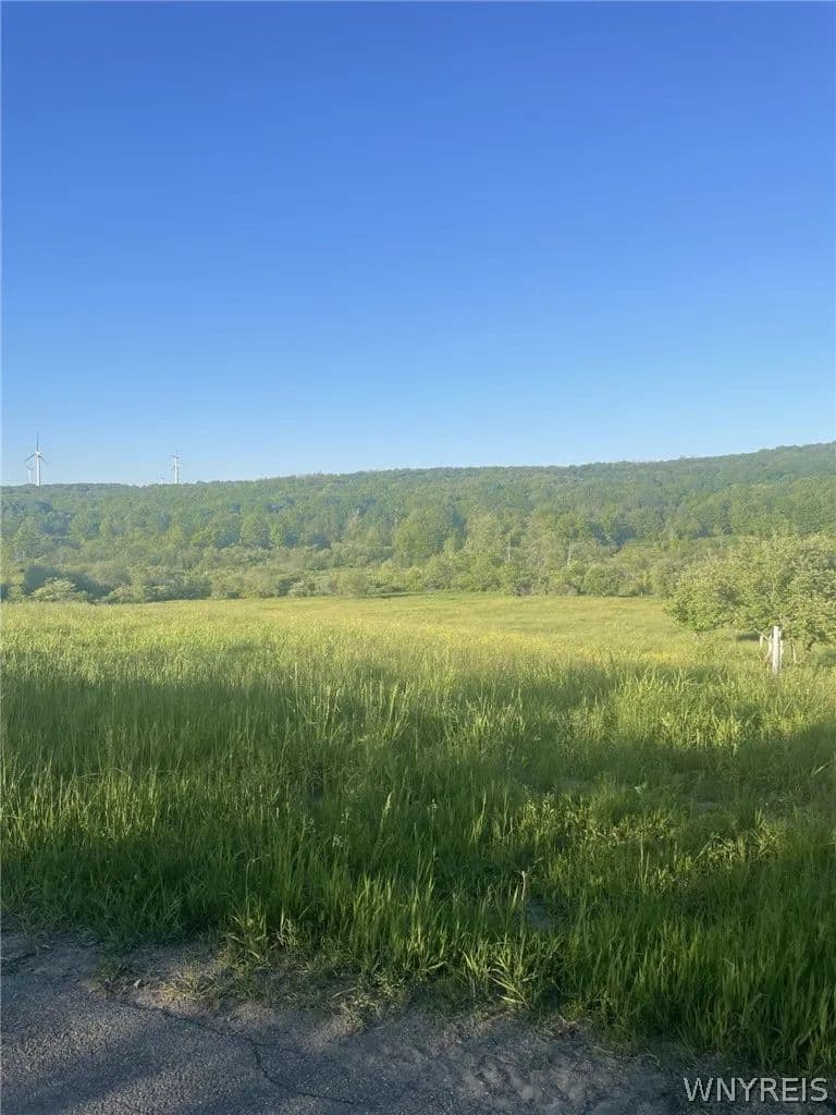 Property from Lost Nations Road - KW - Centerville, New York, 14029