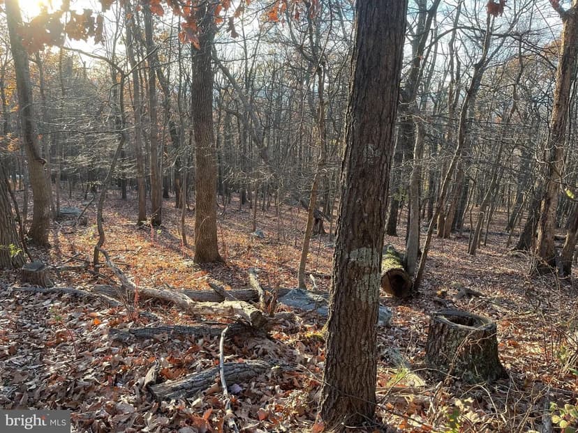 Lots & Land-Other in HARPERS FERRY