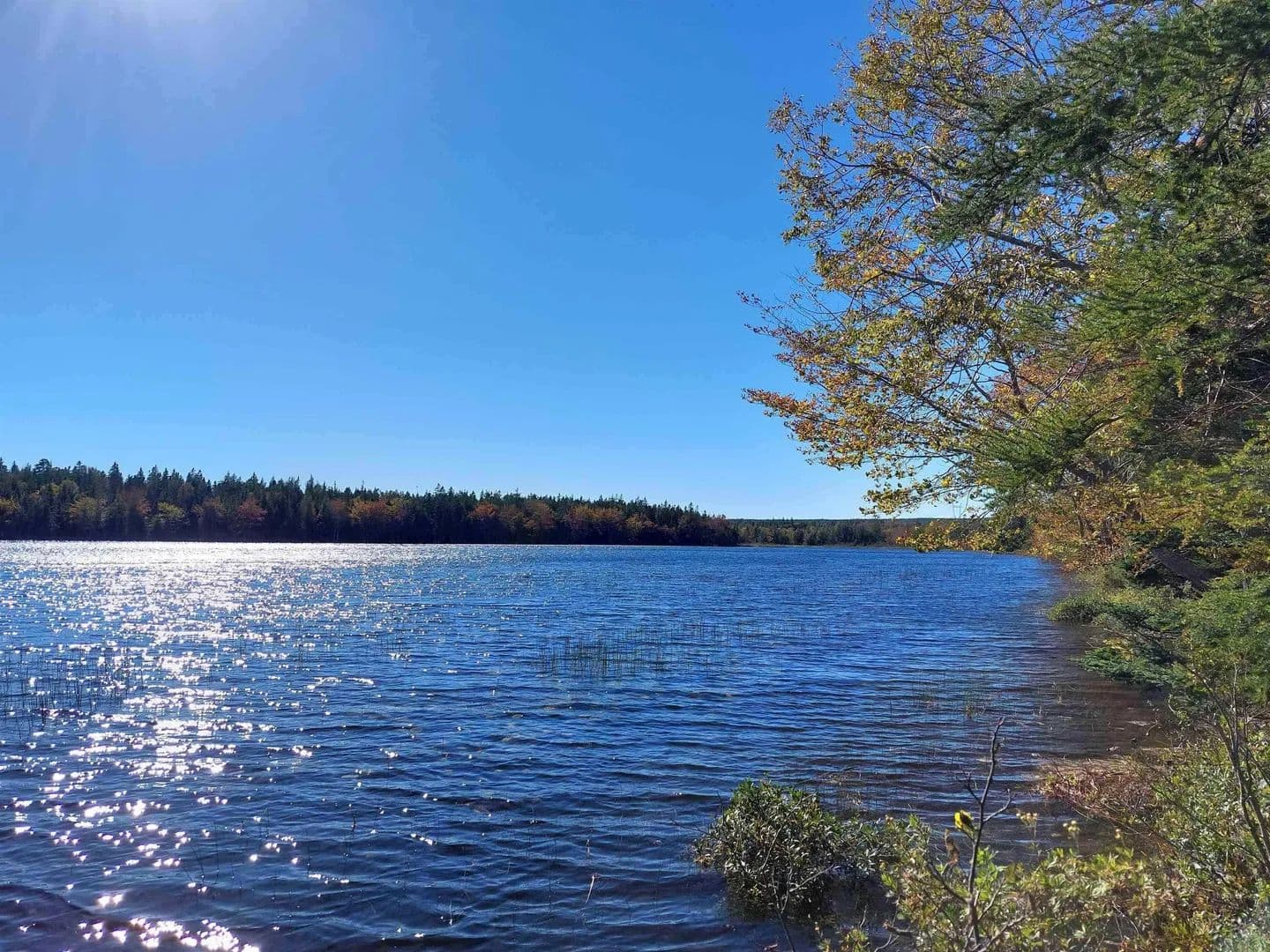 Property from Gabe Macisaac, Salem Road #Lot 98-7C - KW - Canada