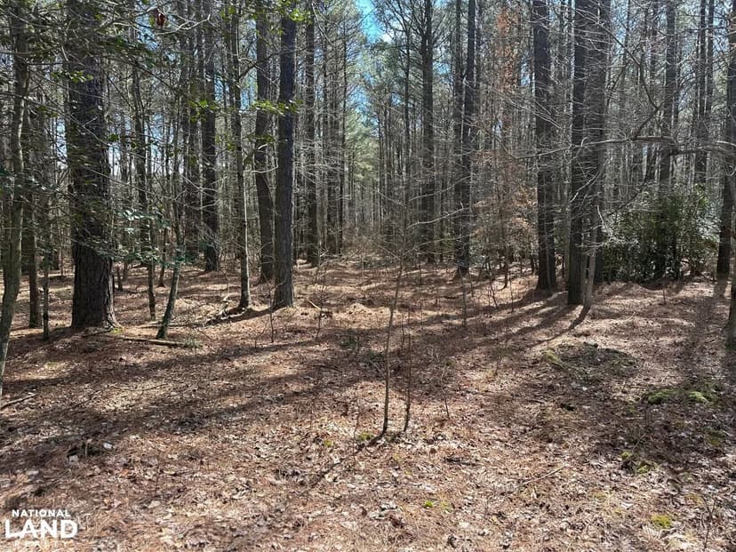 Hurleys Neck 8 Ac