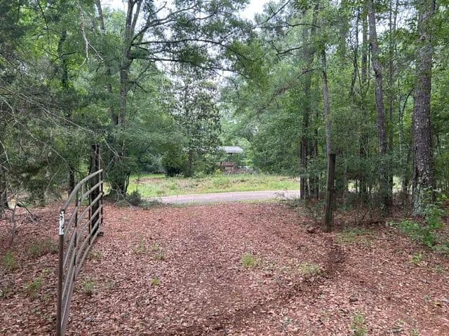 52 Acres | Bogue Chitto, MS - Bogue Chitto, Mississippi, 39629