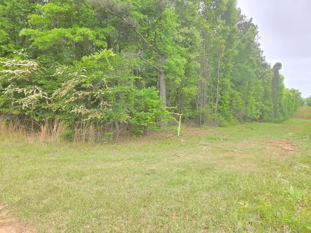Vacant Land in Shiloh - Shiloh, Georgia, 31826