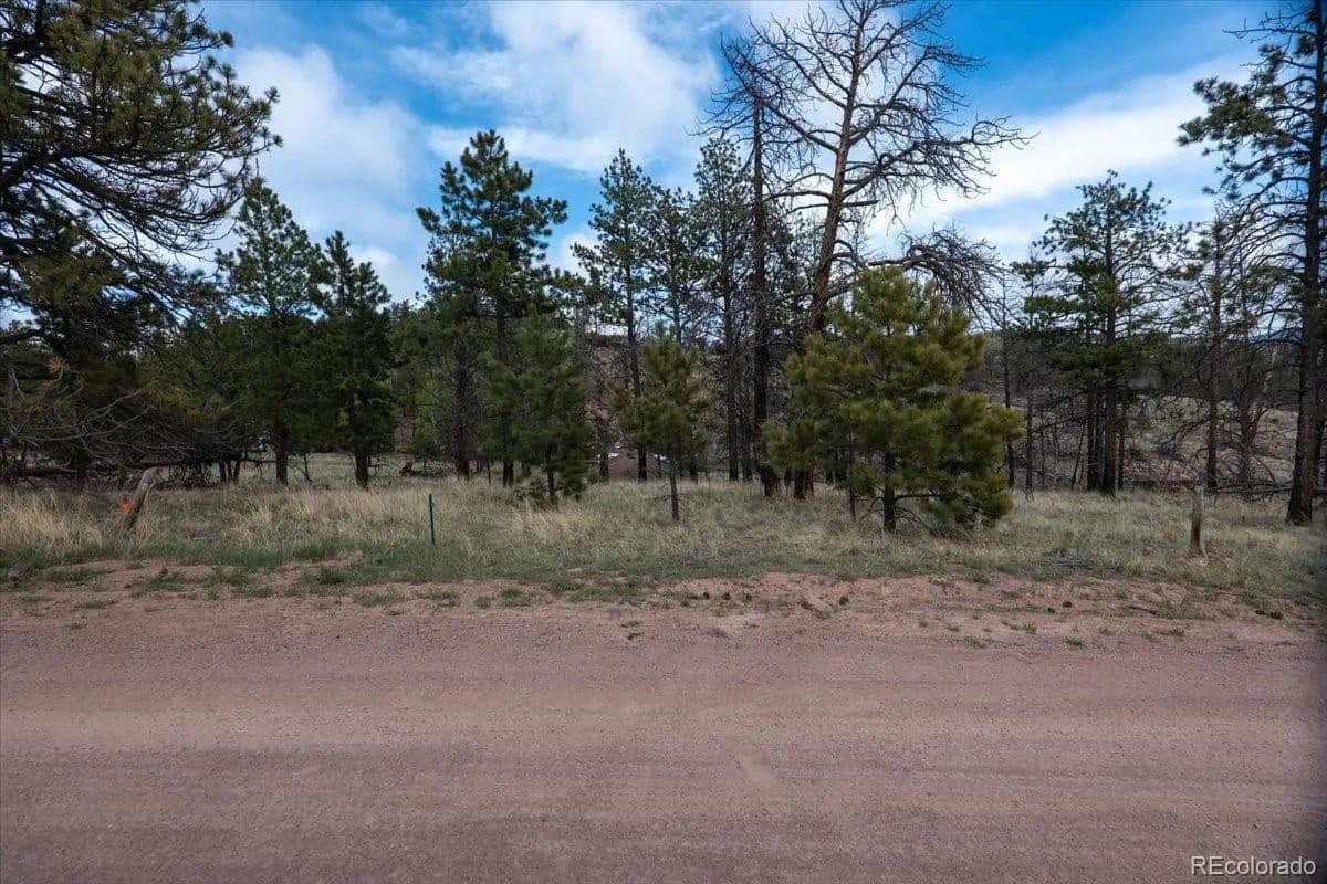 2.81 Acres of Land for Sale in Florissant, Colorado - Florissant, Colorado, 80816