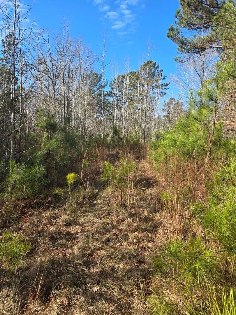Property from 0 Outrigger Drive - KW - Lincolnton, Georgia, 30817
