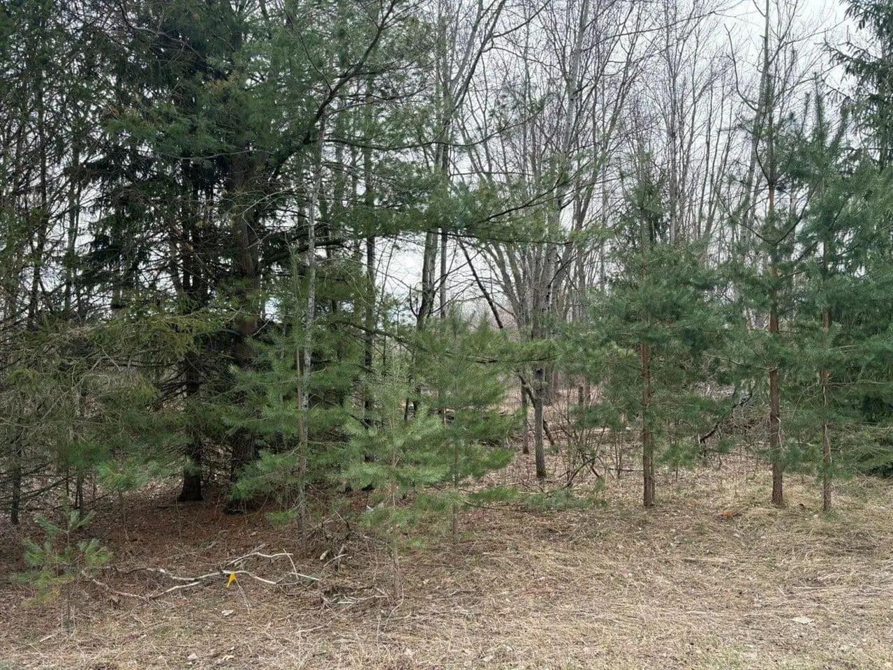Property from 17850 Sparta - KW - land for sale