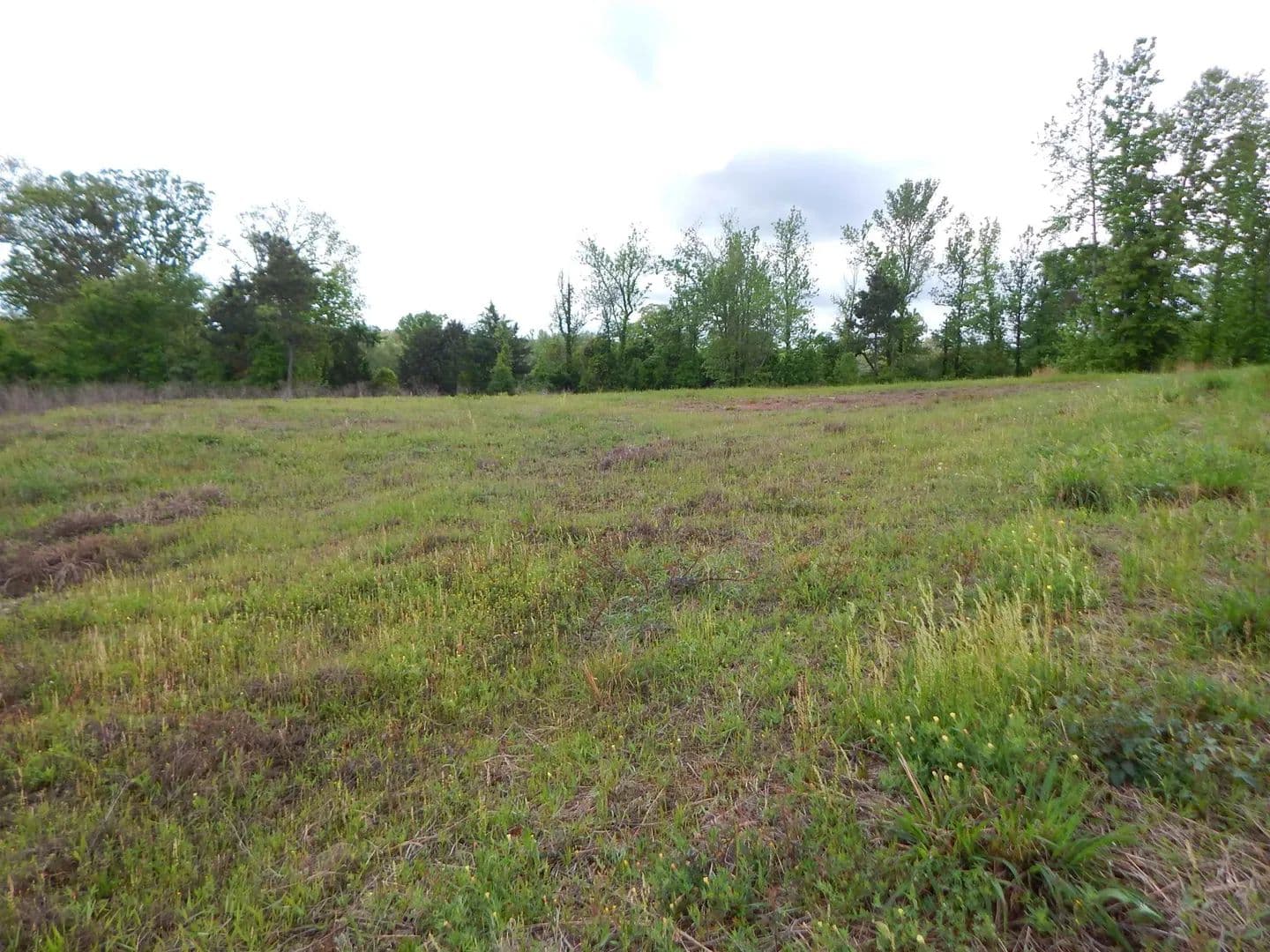 Vacant Land in Diana - Diana, Texas, 75640