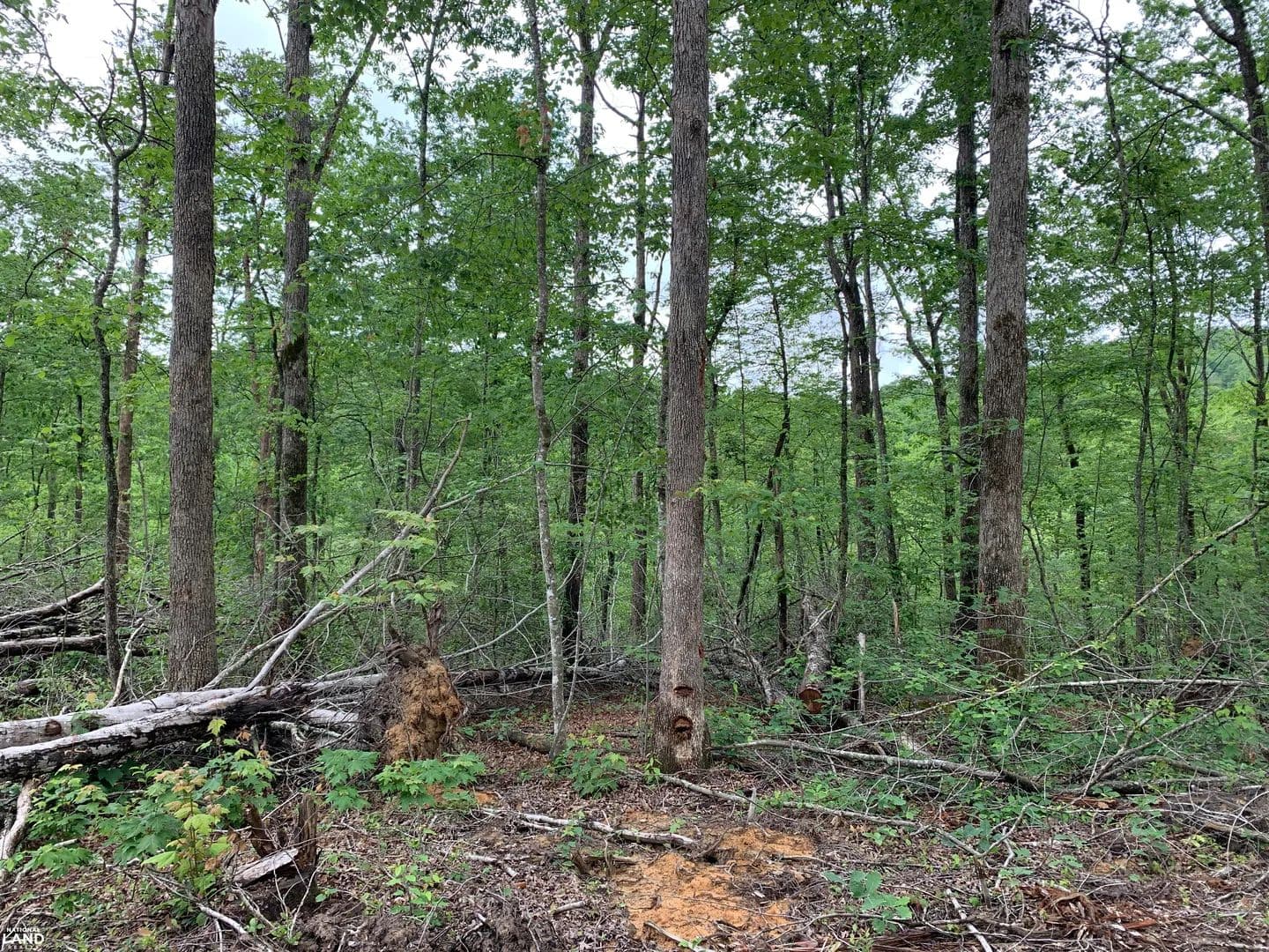 The Basecamp at Wood Creek - East Bernstadt, Kentucky, 40729