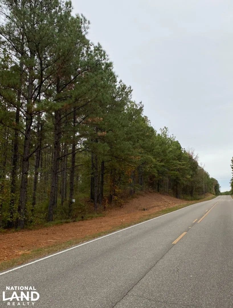 43 Acre Chelsea Homesite - Chelsea, Alabama, 35043