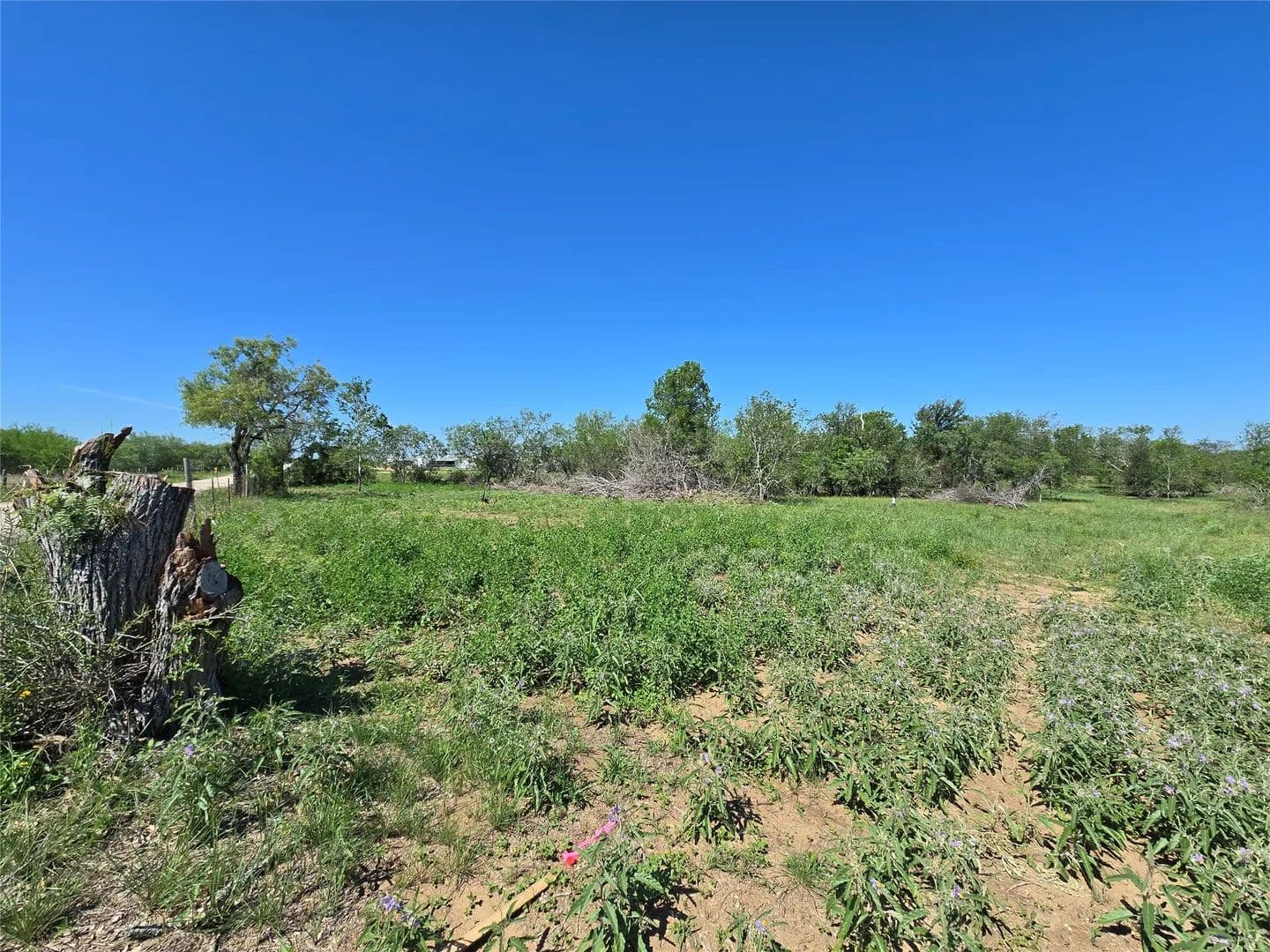Property from TBD FM 466 - KW - Seguin, Texas, 78155