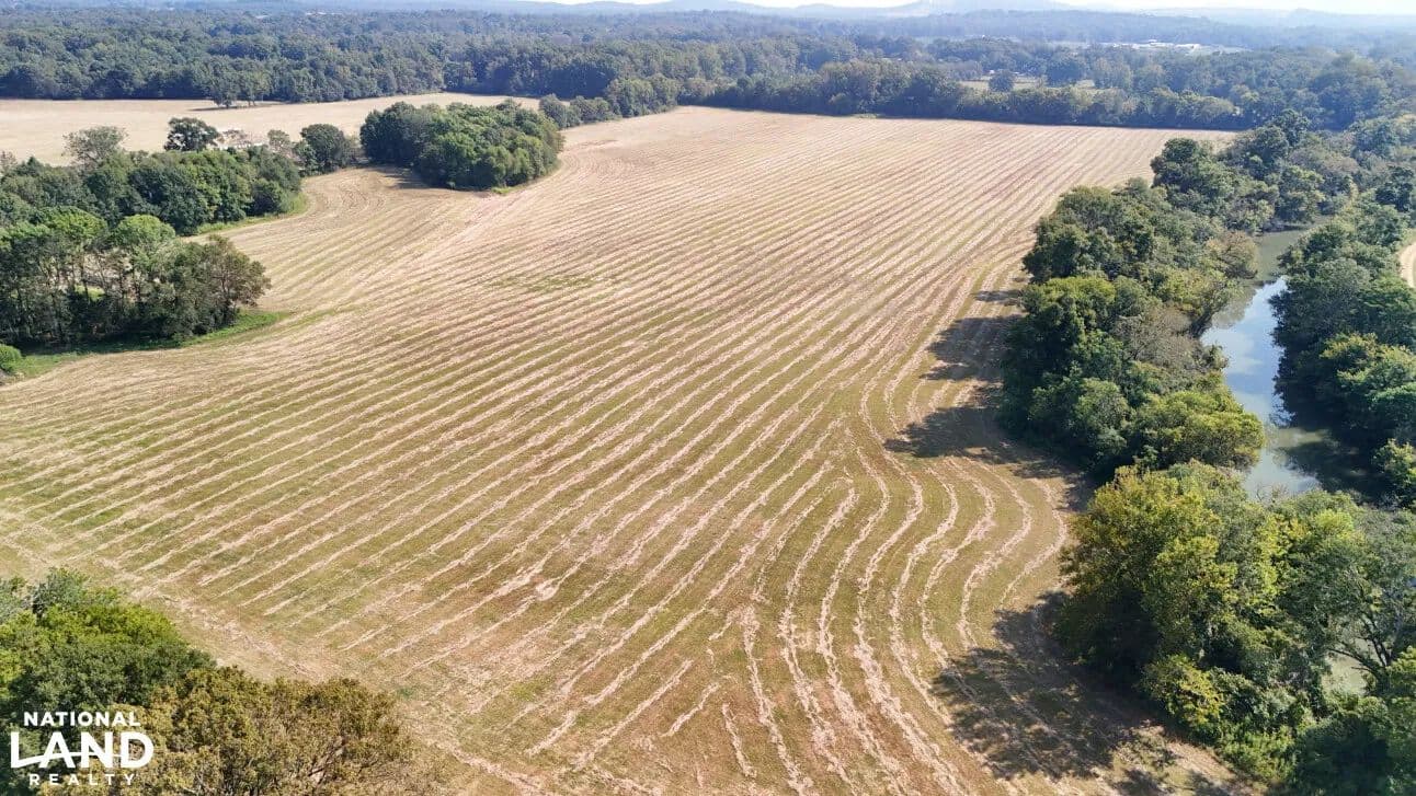 Hunting, Fishing & Agriculture on Tallaseehatchee Creek - Childersburg, Alabama, 35044