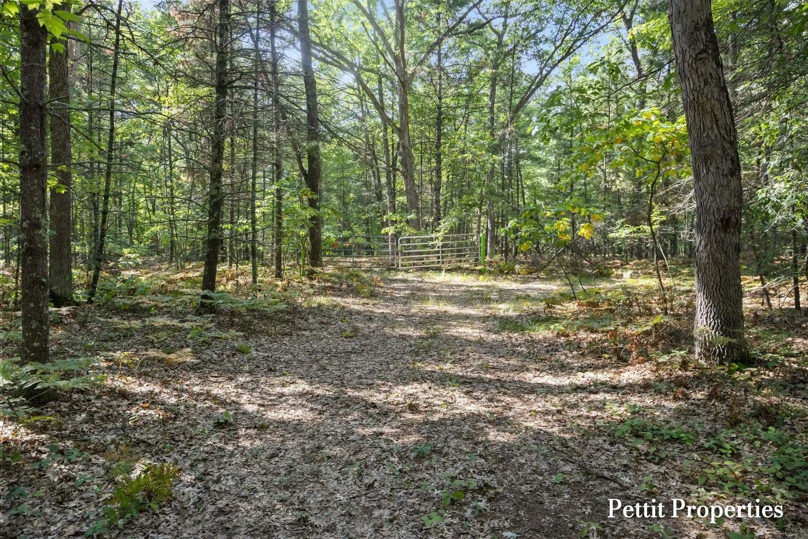 19.72 Acres of Land for Sale in Rothbury, MI - Rothbury, Michigan, 49452