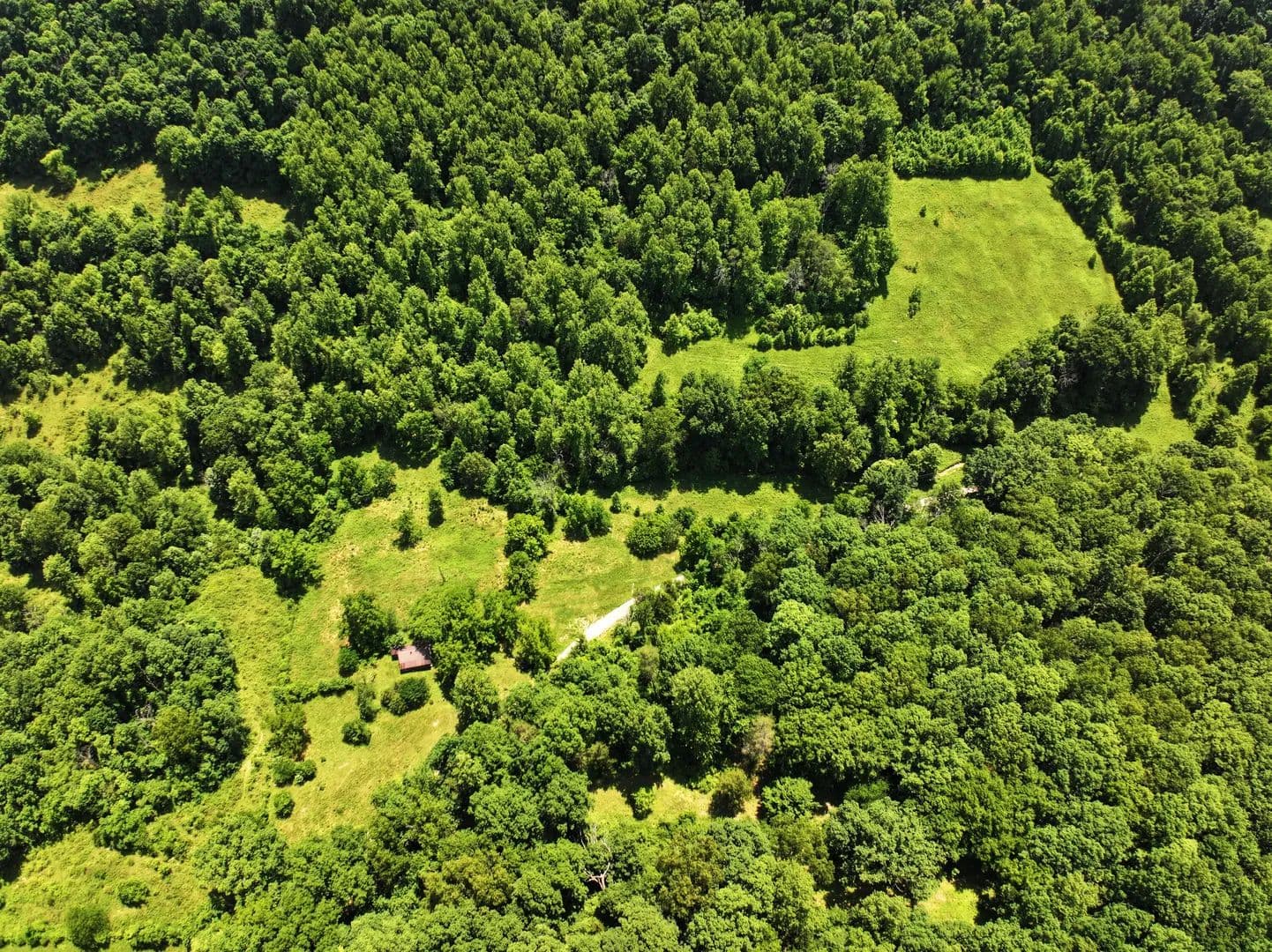 Property from 9999 McSwain Branch - KW - Irvine, Kentucky, 40336