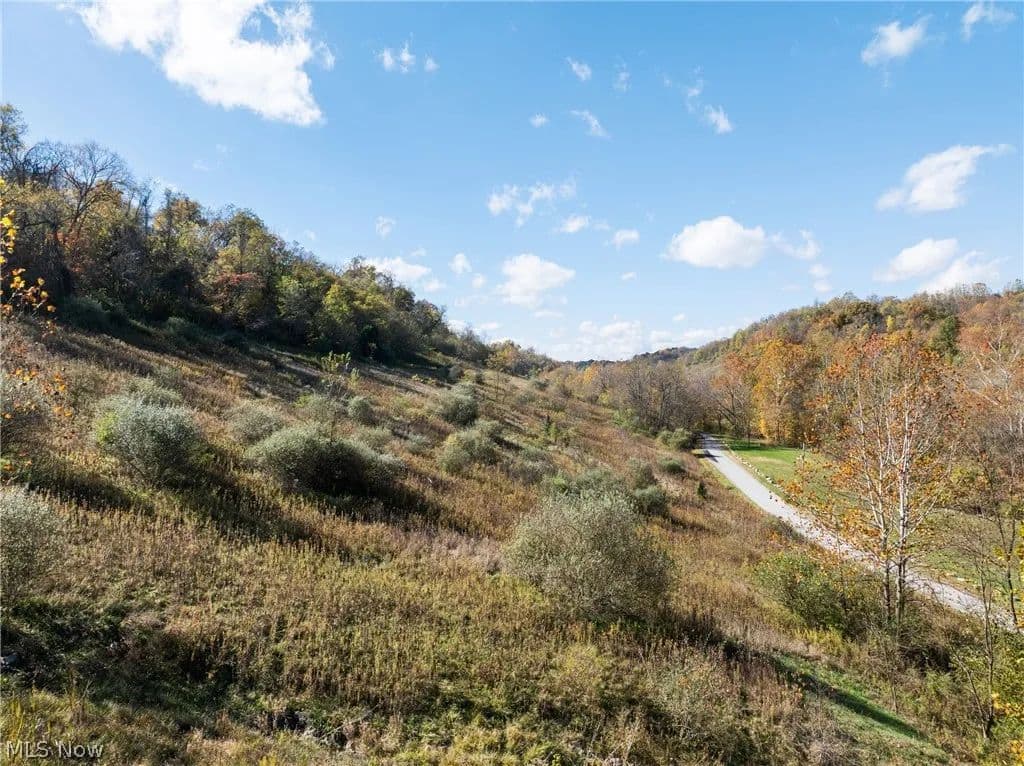 16.27 Acres of Land for Sale in Belmont County, Ohio - Ohio, 43950