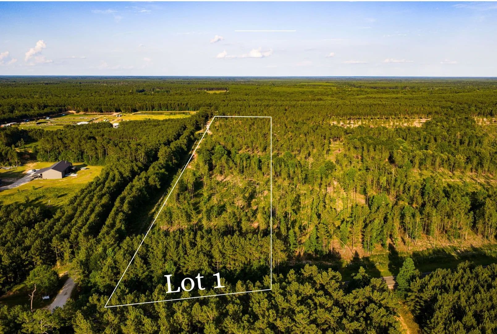 11 Acres of Land for Sale in Livingston, Texas - Livingston, Texas, 77351