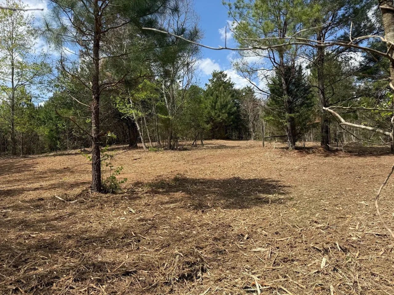 20 Acre Homesite or Farmland Opportunity in Ramer - Ramer, Alabama, 36043