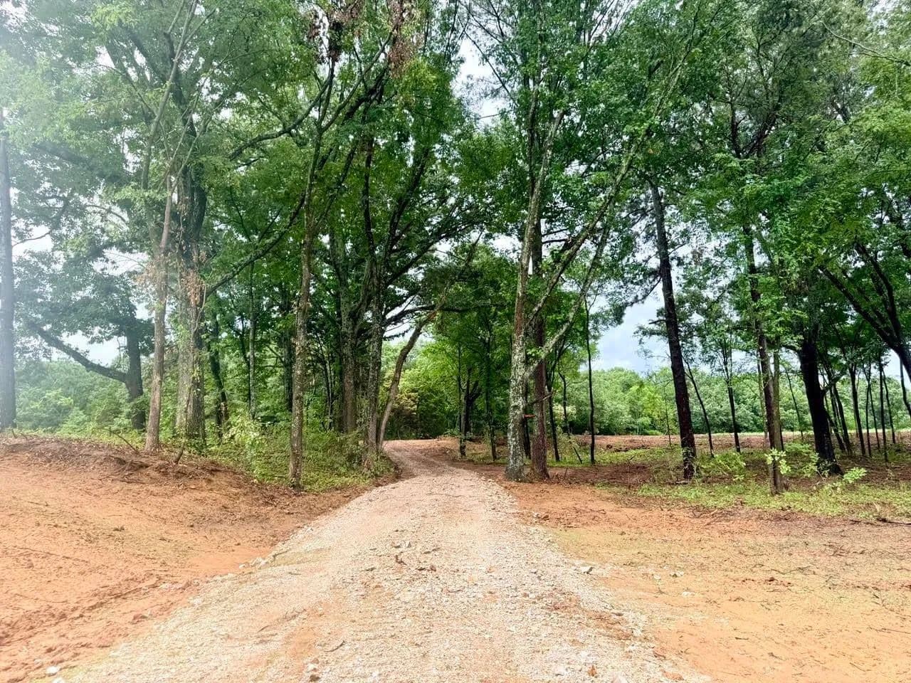 5 Acres of Land for Sale in Gadsden, Tennessee - Gadsden, Tennessee, 38337
