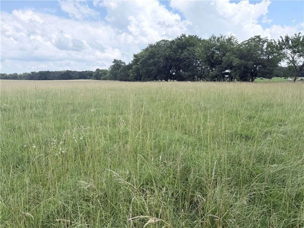 Lots & Land-Other in Maysville - Maysville, Arkansas, 72747