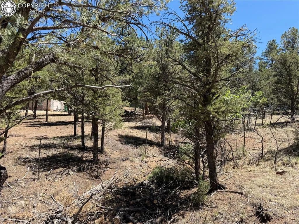 2.61 Acres of Land for Sale in Cotopaxi, CO - Cotopaxi, Colorado, 81223