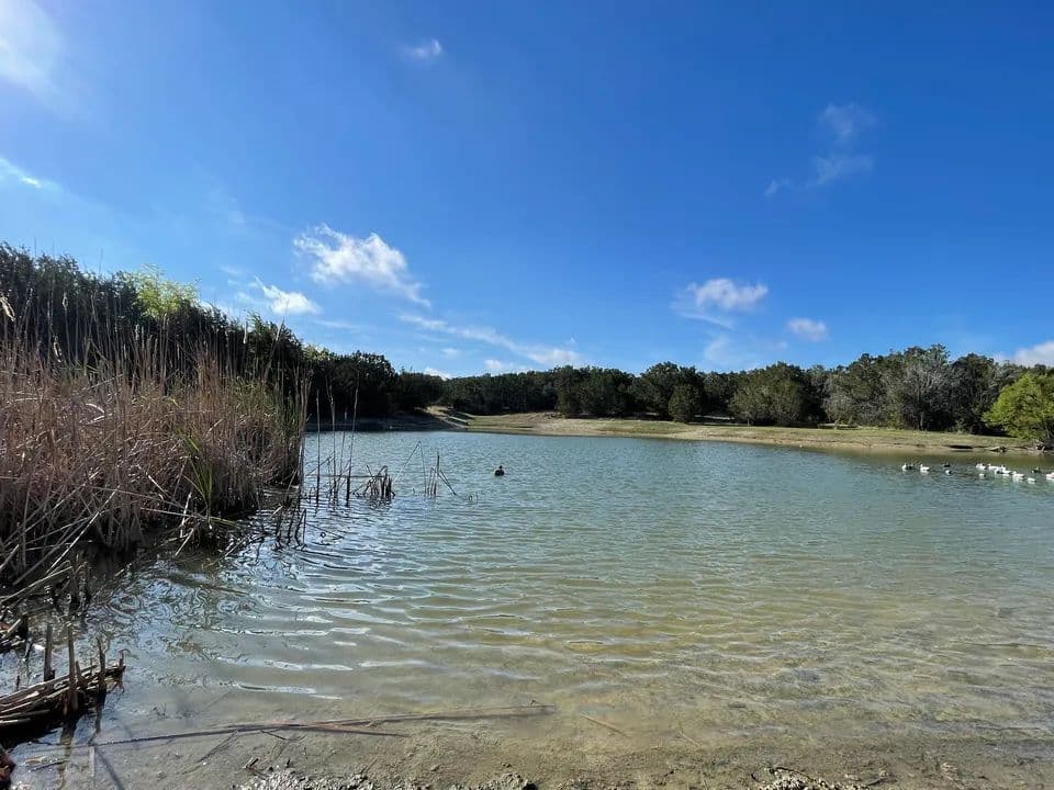 Tired S Ranch - Burnet, Texas, 78611