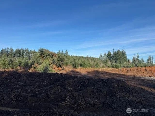 Land -Single Family Acreage in Winlock - Winlock, Washington, 98596