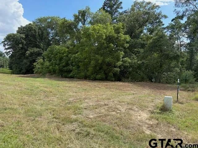 5.22 Acres of Land for Sale in Diana, TX - Diana, Texas, 75640