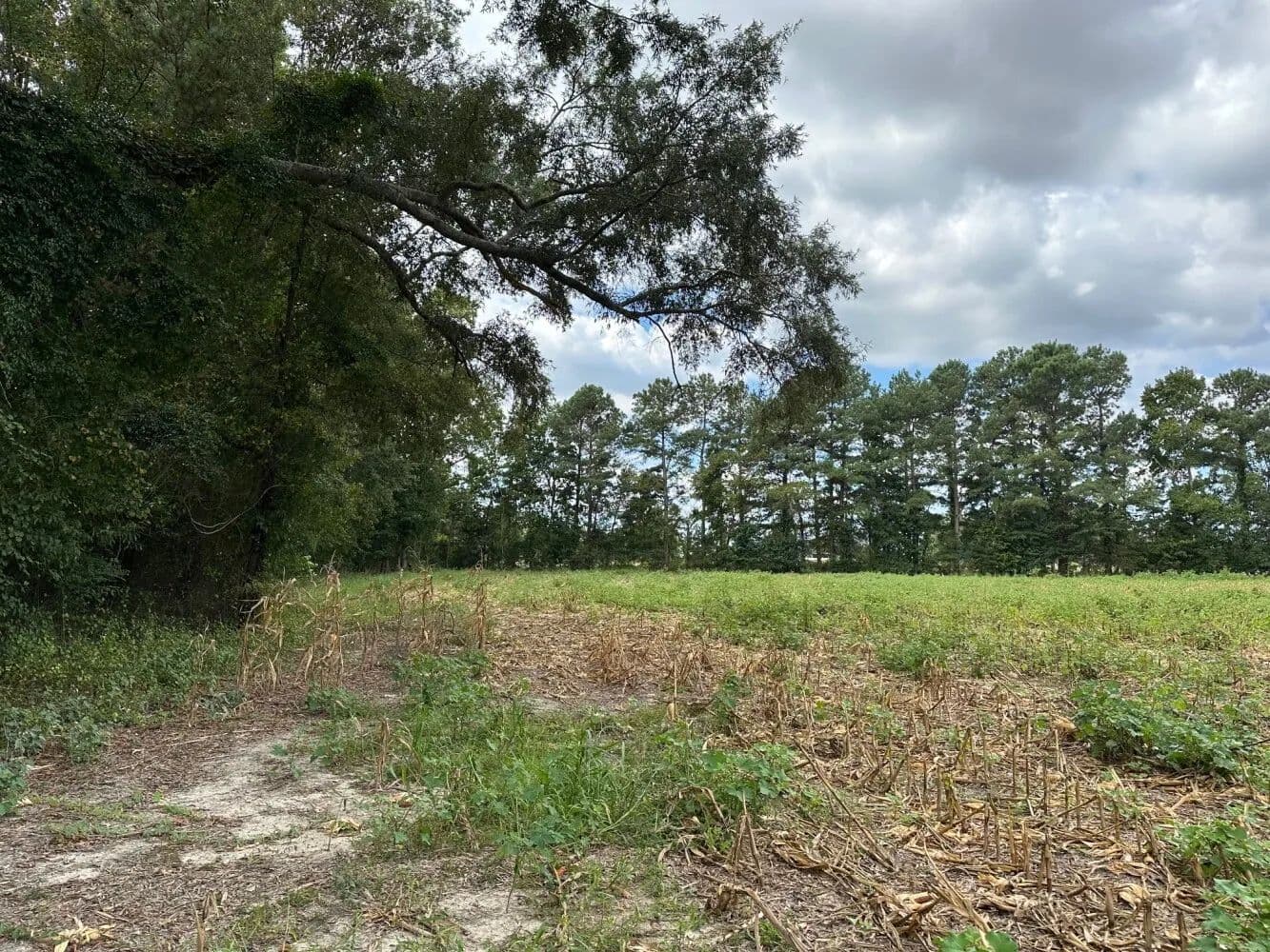 Raynham - Hwy. 301 Farm - land for sale