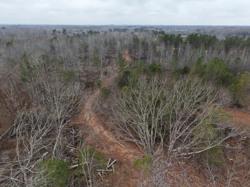 130.2 Acres in Henderson County, TN