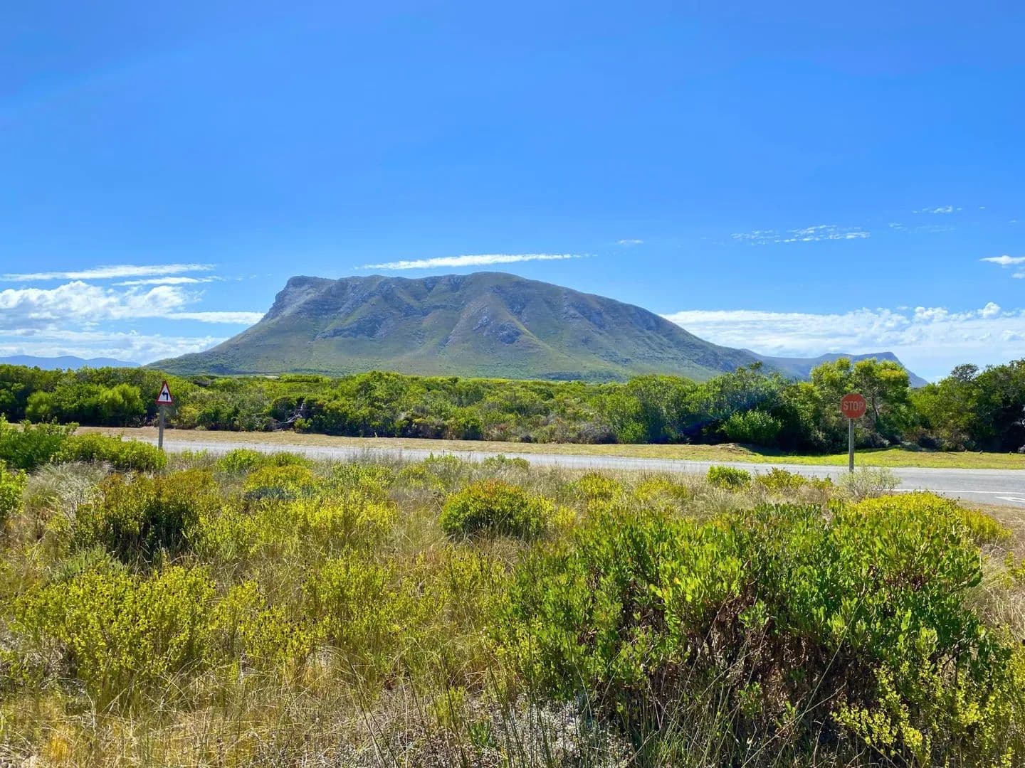 715 Acres of Land for Sale in Gansbaai, Western Cape - land for sale