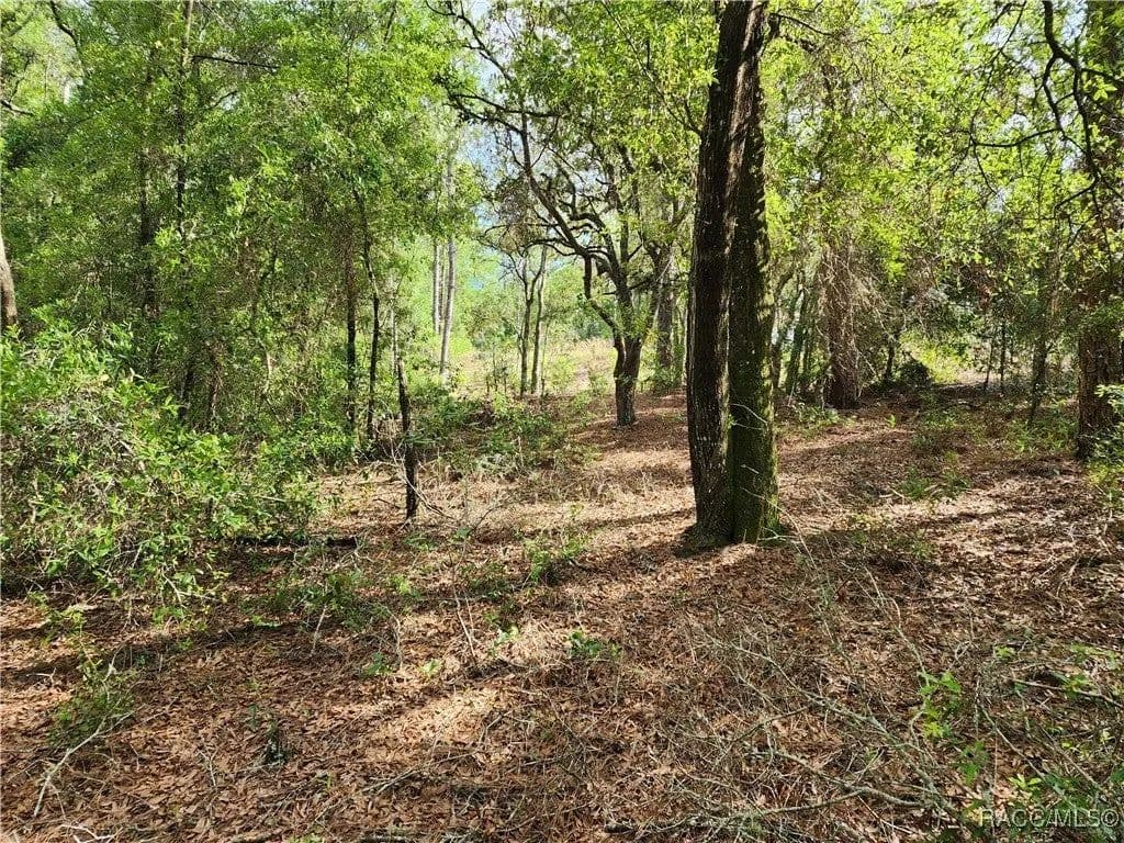 Lots & Land-Other in Citrus Springs - land for sale