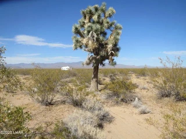 Vacant Land in Yucca - land for sale