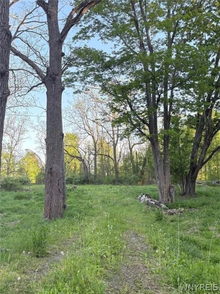 Property from 1441 Sturgeon Point Road - KW - Derby, New York, 14047