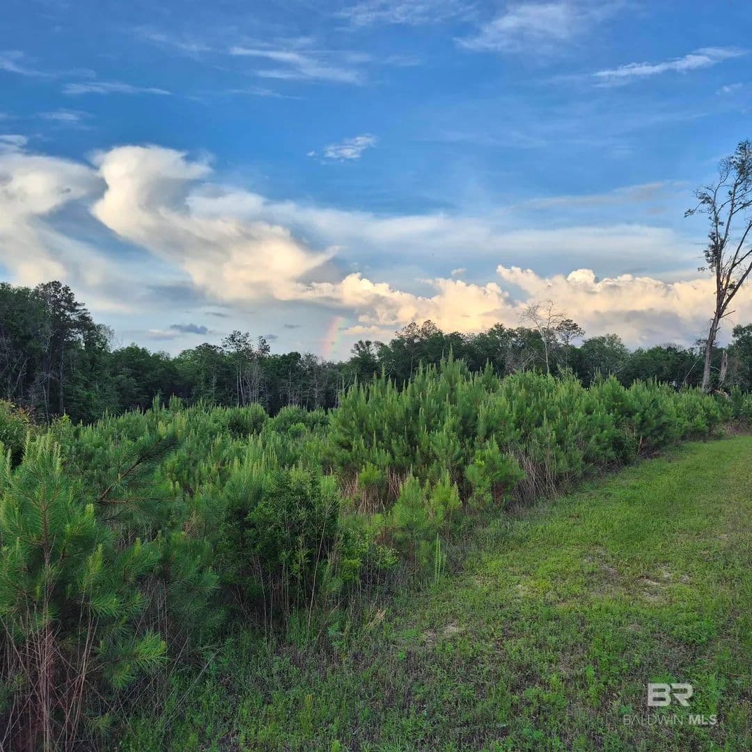 Property from 000 Brooklyn Road - KW - Evergreen, Alabama, 36401