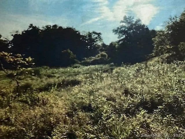 Lots & Land-Other in Wallingford - Wallingford, Connecticut, 6492