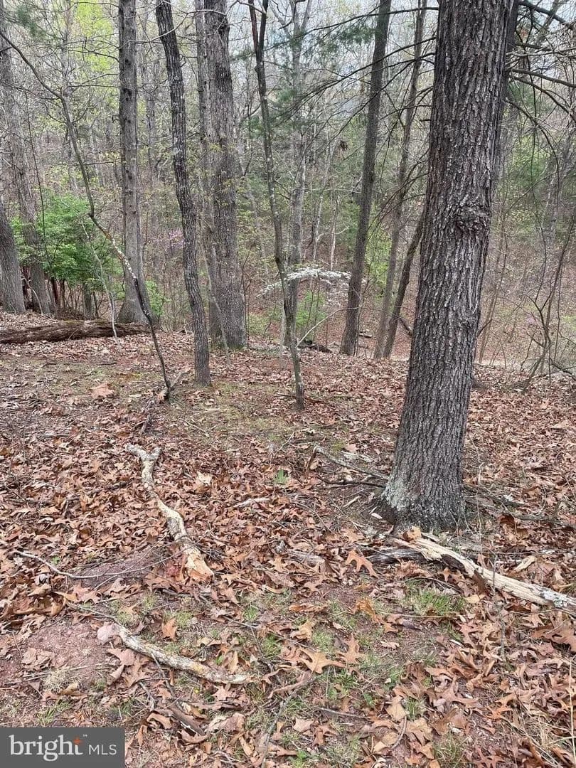 Lots & Land-Other in CROSS JUNCTION