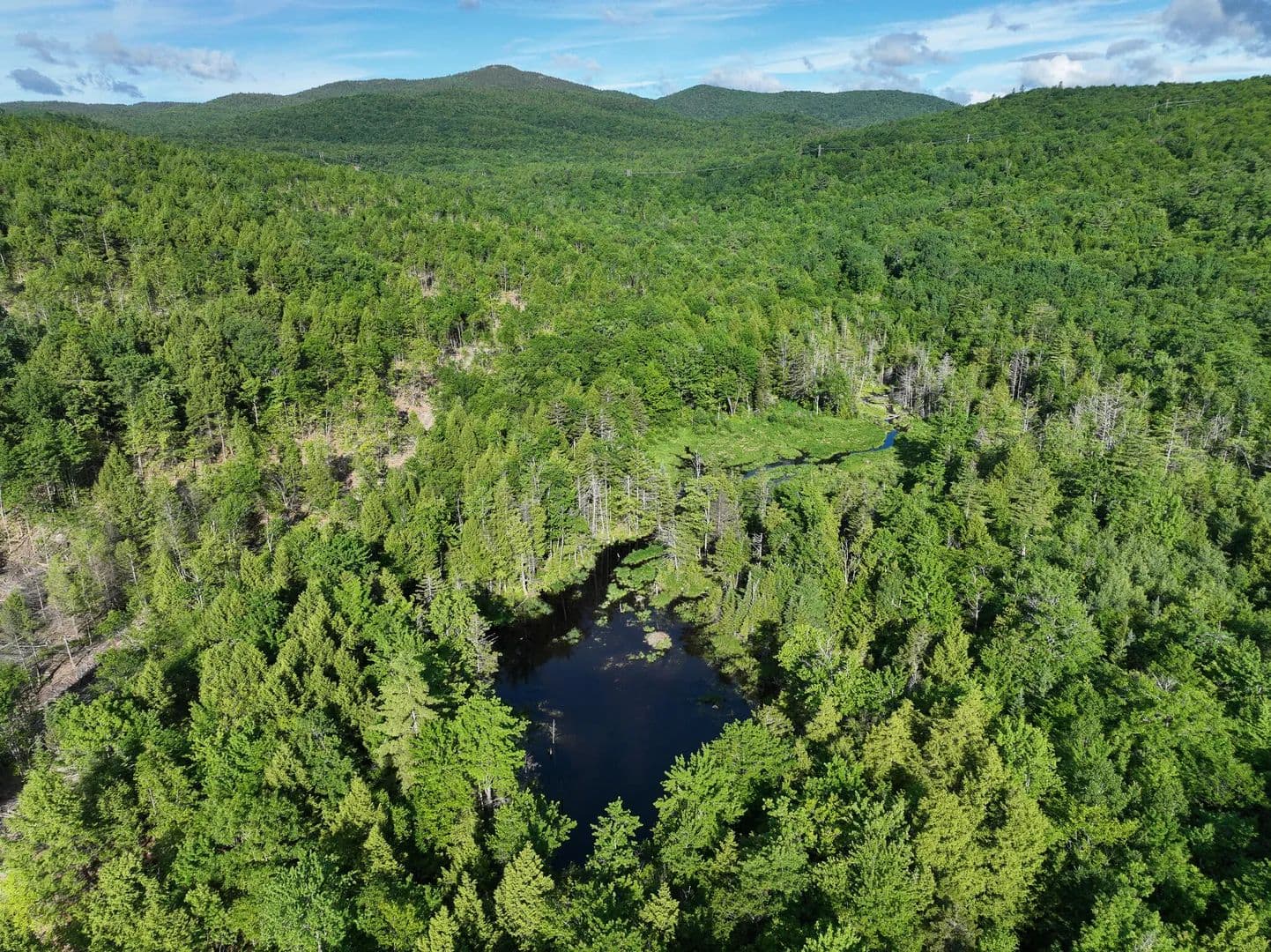 Property from Map 10 Lot 1 Dow Brook Road - KW - Peru, Maine, 04290